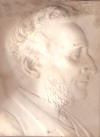 plaster profile