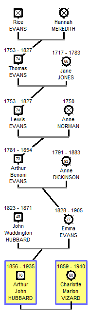 evansdirectree