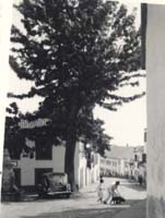 Outside of the wall of the English Cemetery