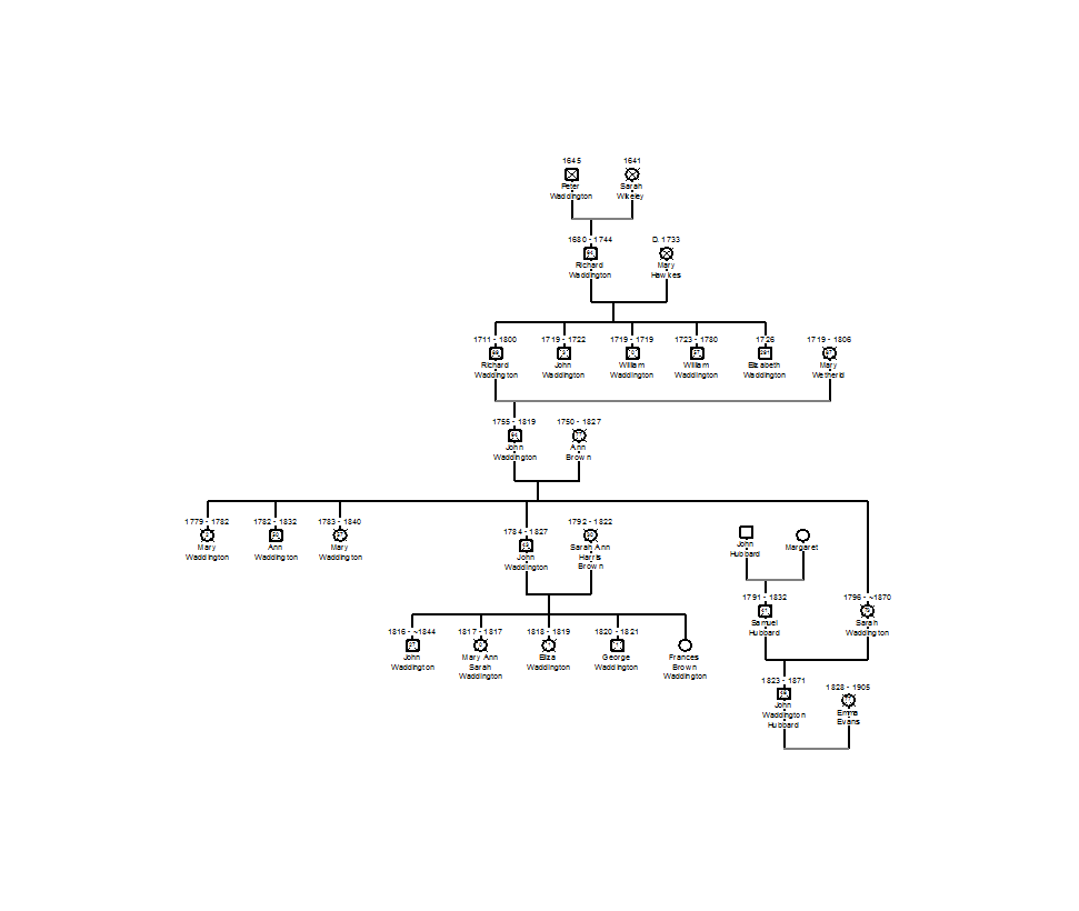 waddingtontree3